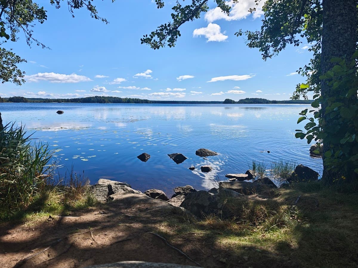 Rastplats Borasjön Ö vid riksväg 40 med grönskande skogsnatur och lekplats.