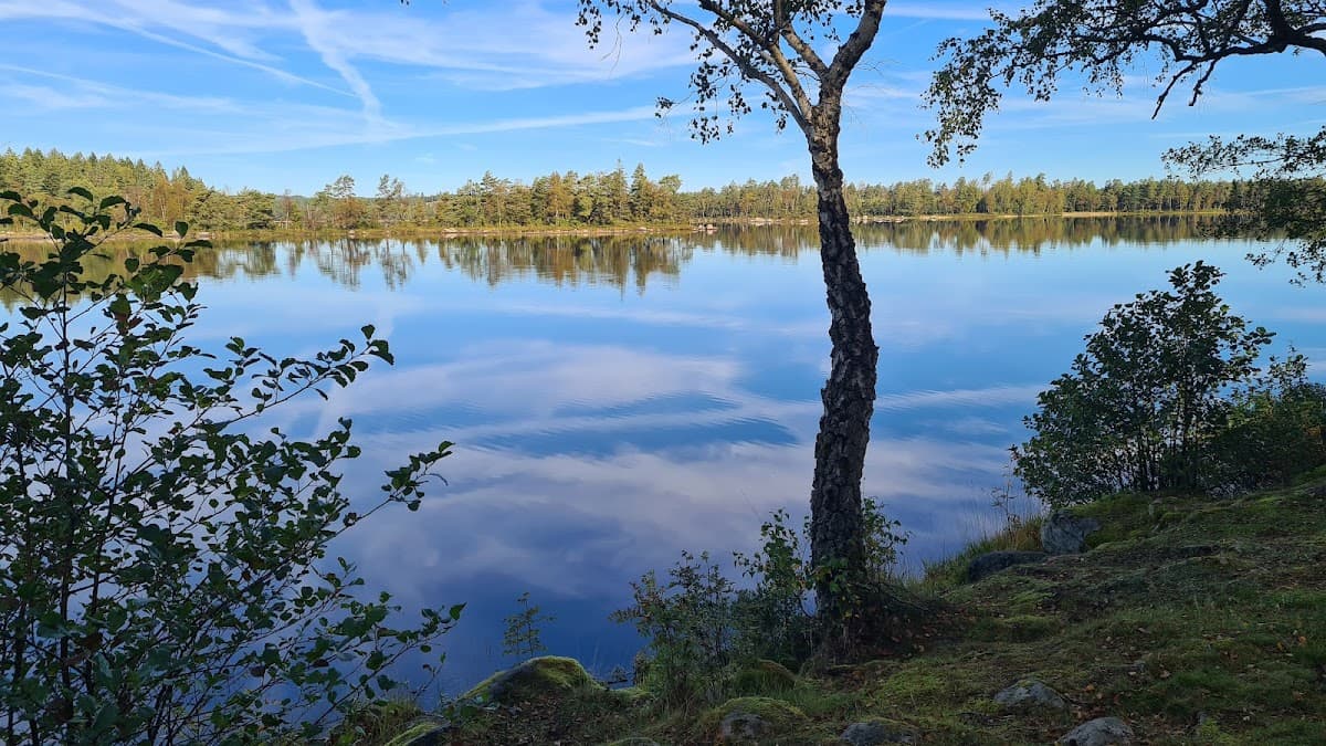 Rastplats Holsljunga med sittbänkar i natursköna Sjuhäradsbygden omgiven av barrskog.
