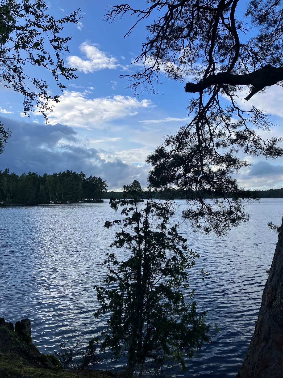 Utsikt över Orranäsasjön från rastplatsen vid väg 25, med glittrande vatten och omgivande skog.