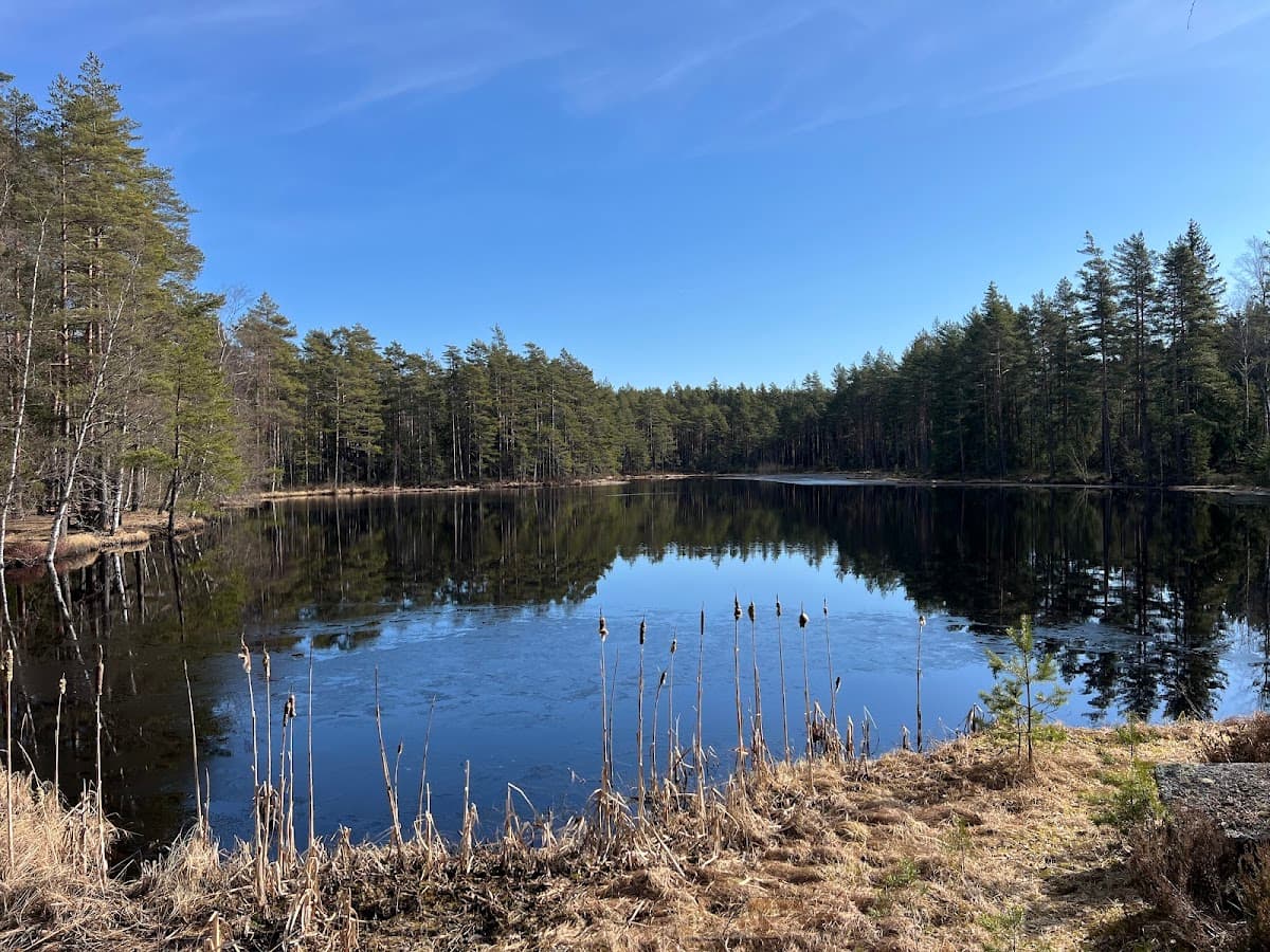 Rastplats Ristjärn vid E45 i Jämtland, omgiven av rofylld skog med parkeringsmöjligheter.