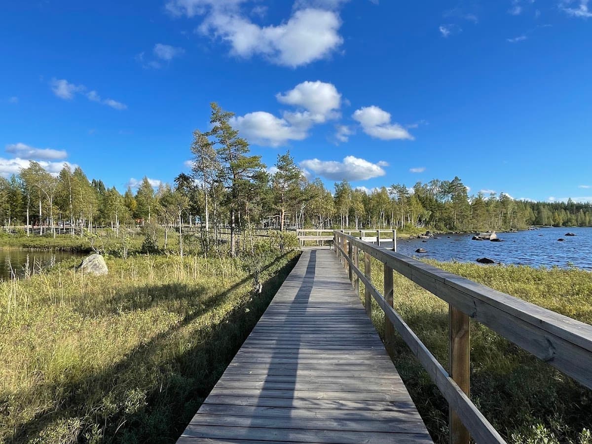 Vy över rastplats Alebosjön i Blekinge med sittplatser vid sjön och skogen längs E22.