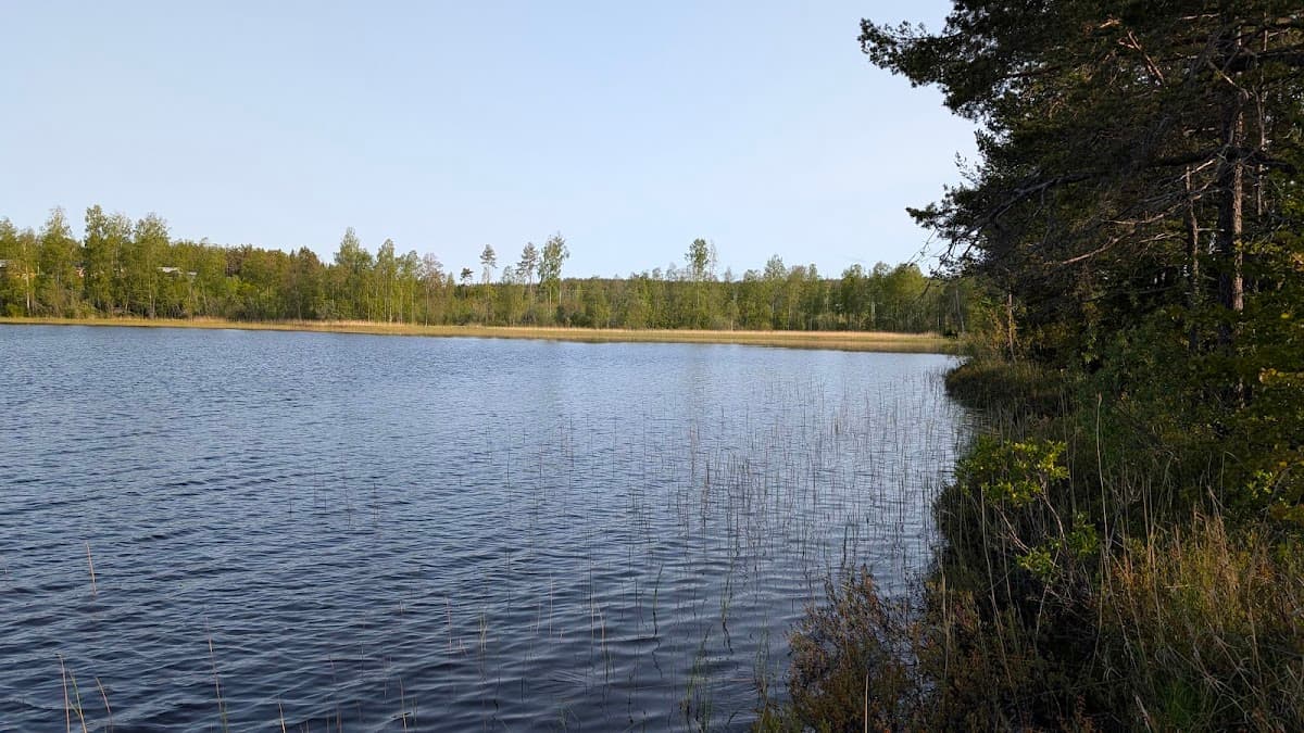 Rastplats Bölesjön Ö vid E4 söder om Umeå med sjöutsikt och lekpark i skogsmiljö.