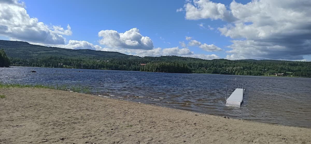 Vy över rastplats Borgsjö vid E14, omgiven av skog med picknickbord och faciliteter.