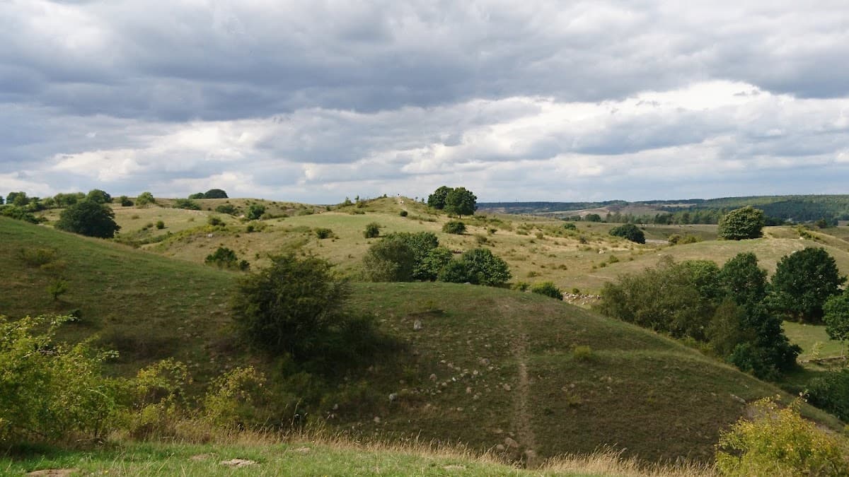 Rastplats Brösarps Backar med picknickbord och utsikt över de ikoniska böljande kullarna i Skåne.