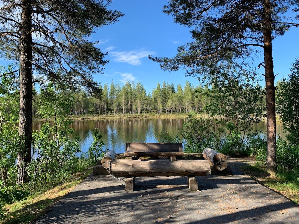Rastplats Buktes vid E45 söder om Sveg, omgiven av tät tall- och granskog.