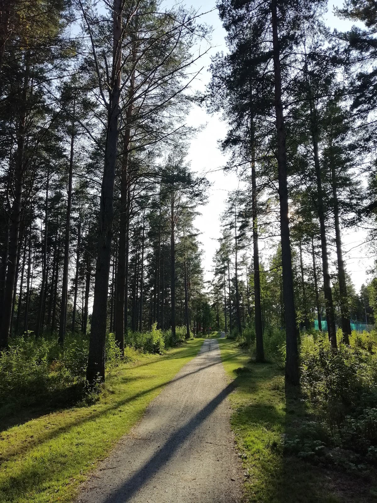 Bild från rastplats Byske