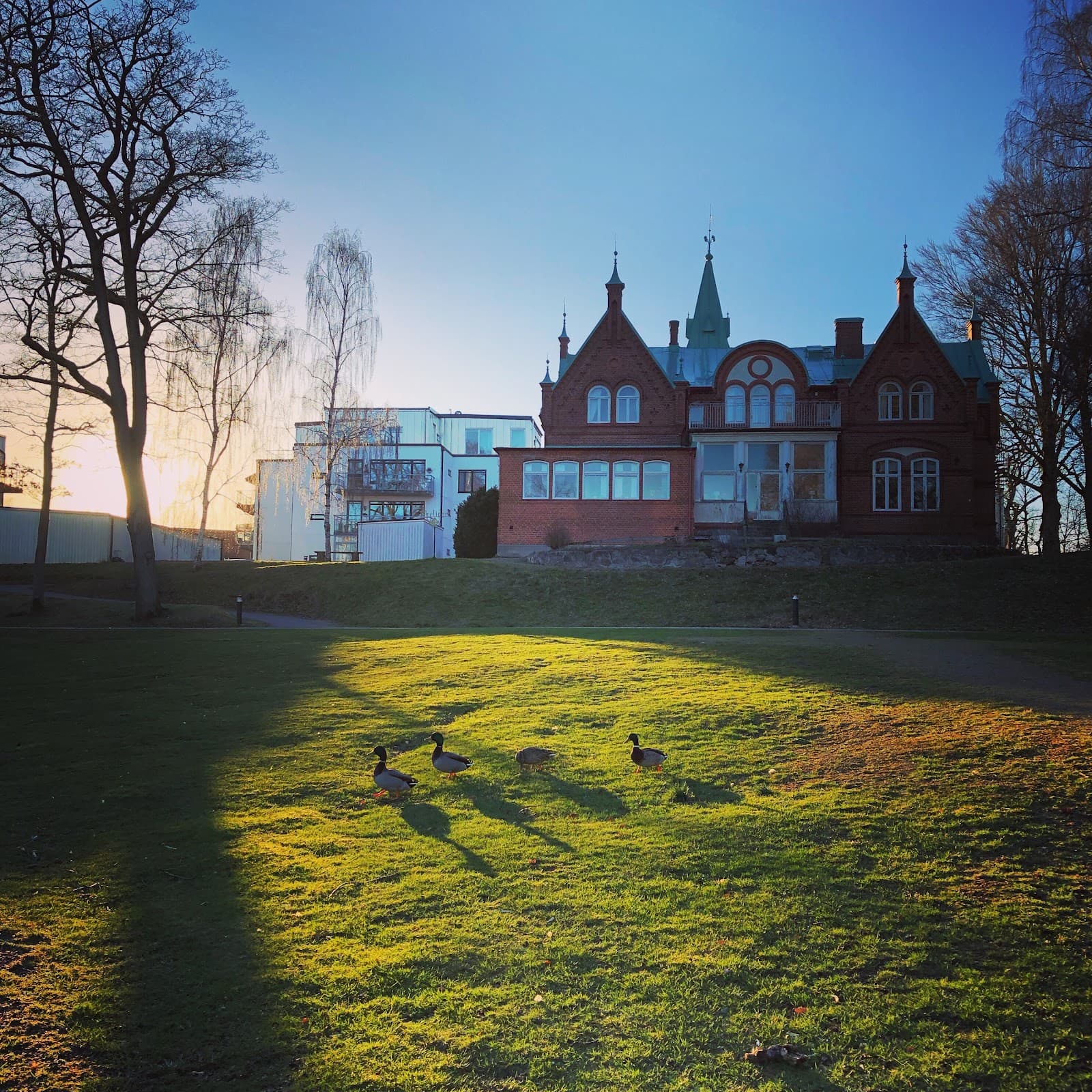Bild över Höör, Sverige