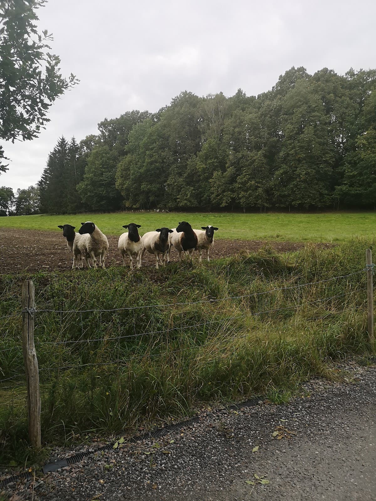 Bild över Kållered, Sverige