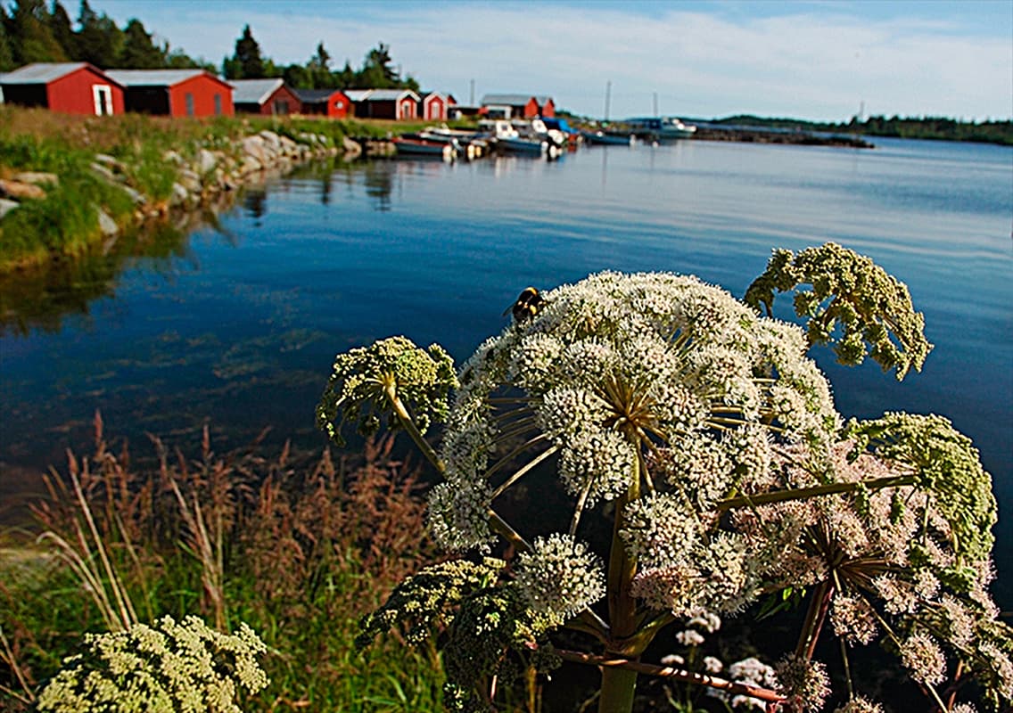 Bild över Obbola, Sverige