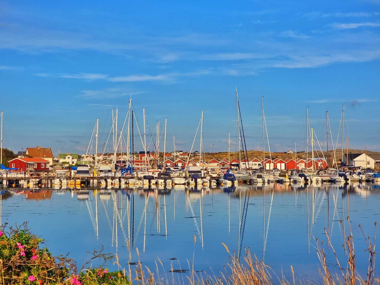 Bild över Öckerö, Sverige