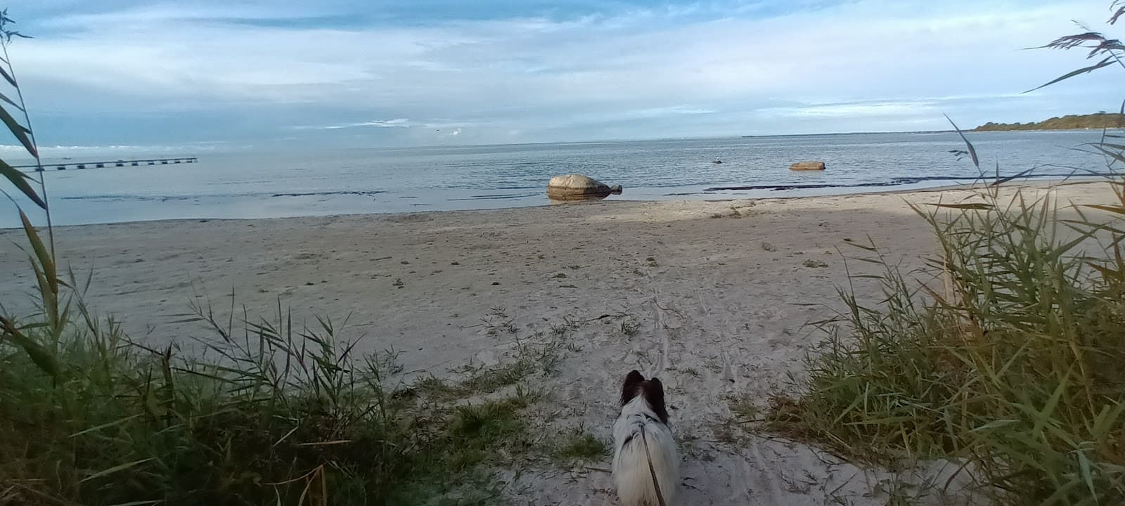 Bild över Sandviken, Sverige