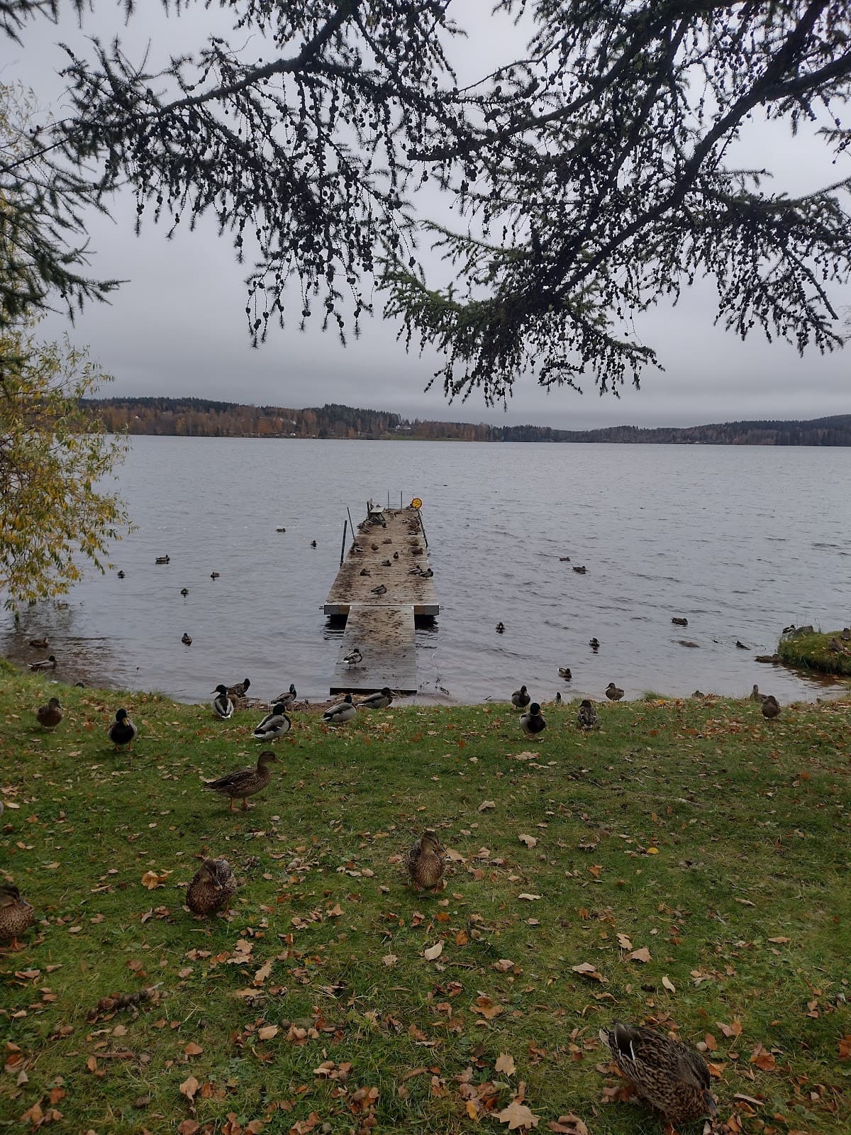 Bild över Säter, Sverige