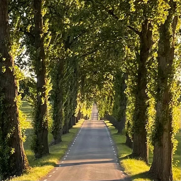 Bild över Skärblacka, Sverige