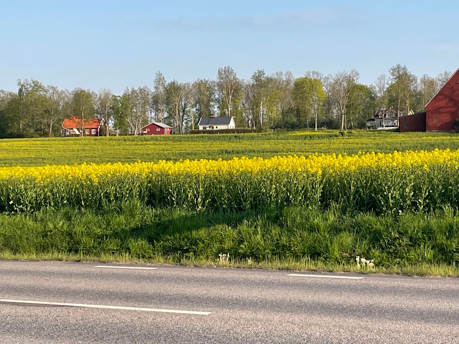 Bild över Smedby, Sverige