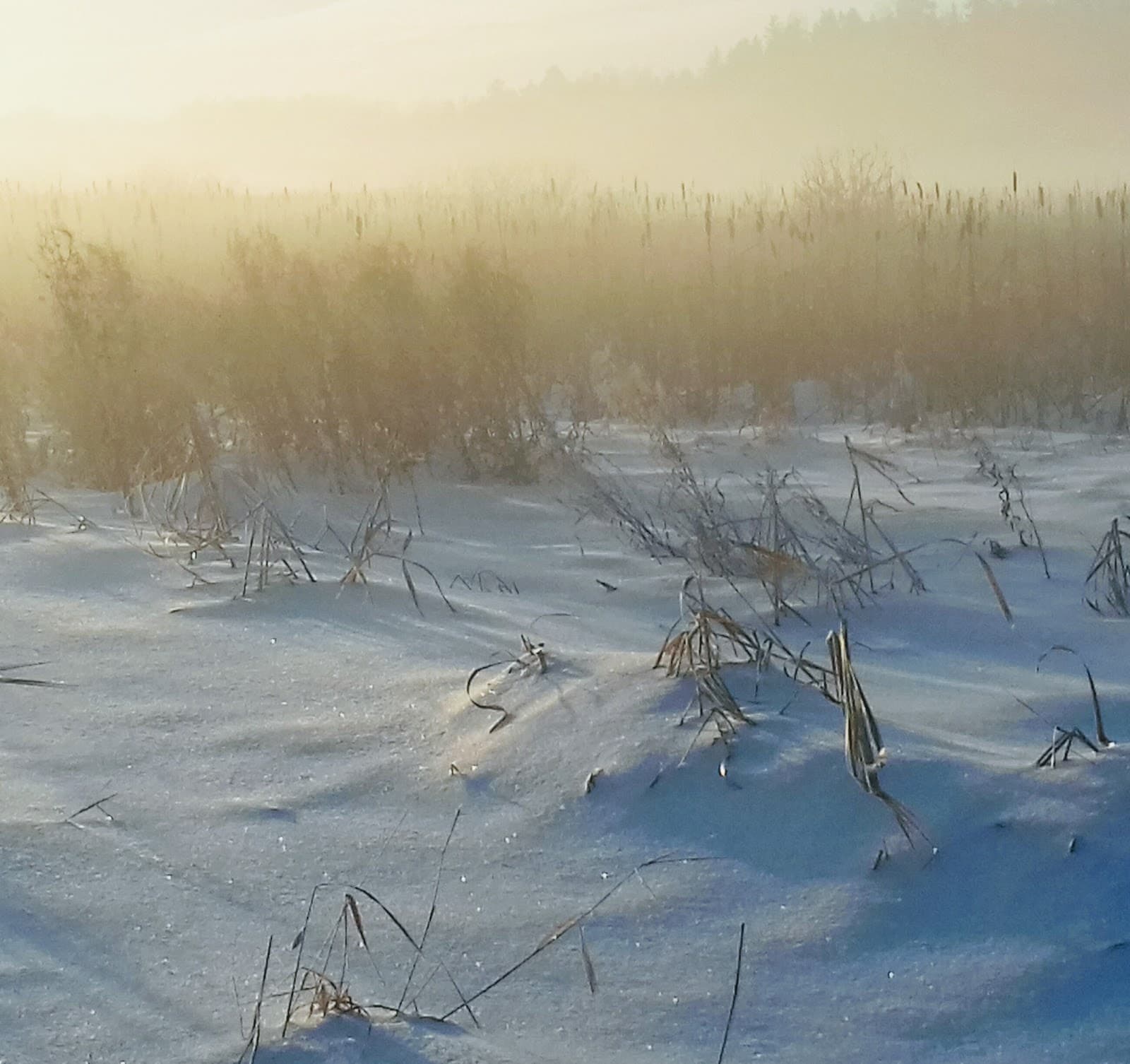 Bild över Storvreta, Sverige
