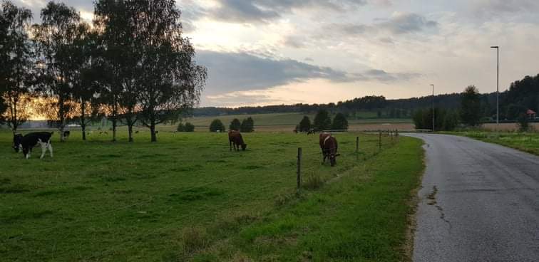 Bild över Tullinge, Sverige