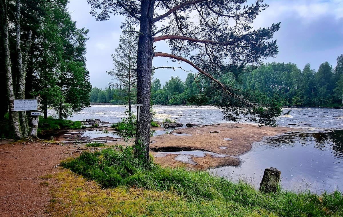 Vy över Fänforsens rastplats vid Västerdalälven med brusande forsar och omgivande skog i Dalarna.