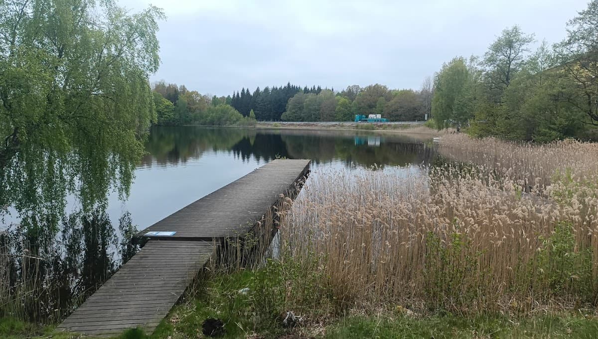 Vy över rastplats Galtsjön N vid E4 i Småland med picknickbord, skog och sjö i bakgrunden.