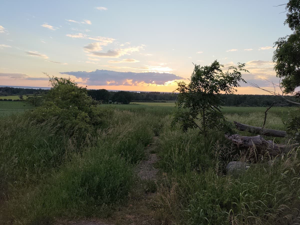 Rastplats Glömminge på Öland med sittplatser och öppna fält längs väg 136.