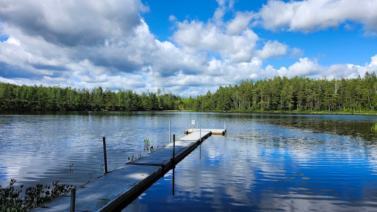 Rastplats Gränsen vid E14 nära norska gränsen i Jämtland med tallskog och fjällnatur.