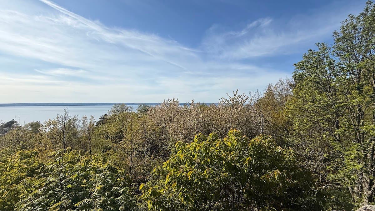 Välskött rastplats Gunneryd längs E4 i Småland omgiven av grönskande skog.