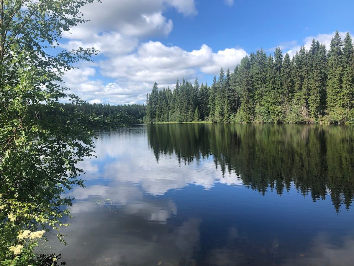 Vy över Häggenås rastplats vid väg 87 med lekplats, toalett och omgivande norrländsk skog.