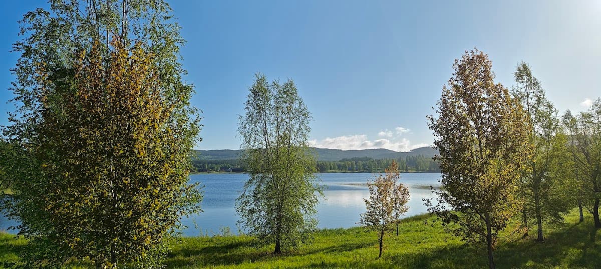 Rastplats Hänsjön vid riksväg 26 i Värmland med utsikt över sjön och grönskande natur.