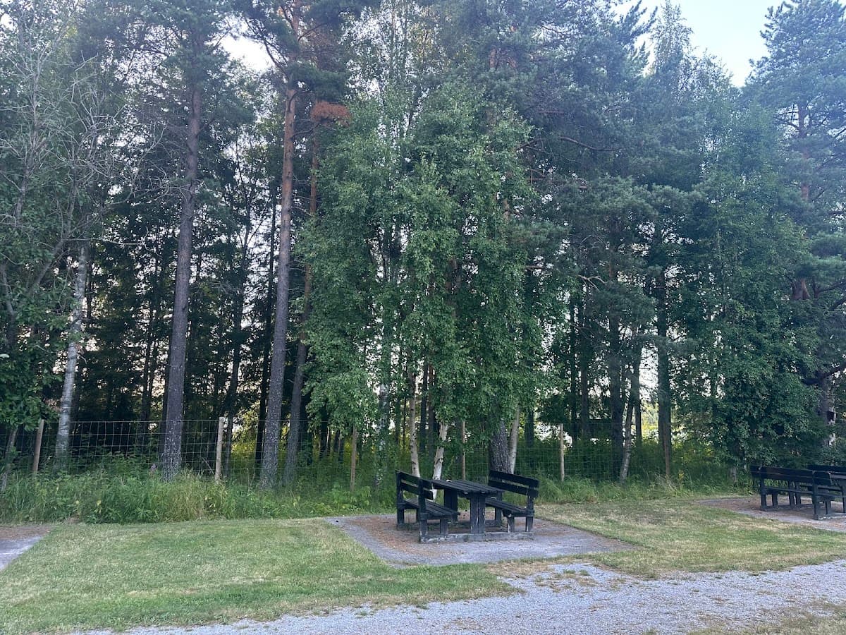 Rastplats Harrbäcken S vid E4 söder om Skellefteå, omgiven av norrländsk tallskog och granar.
