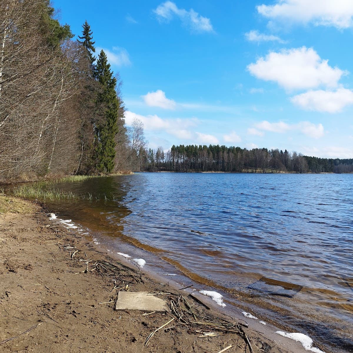 Vy över Rastplats Hyltena längs E4 i Småland med sittplatser och omgivande skog.