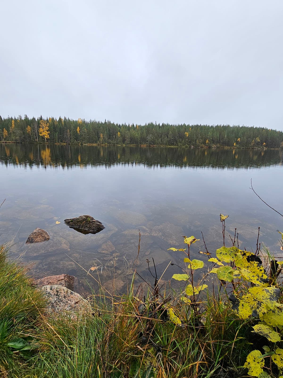 Vy över rastplats Långsjön vid riksväg 27 med sjöutsikt och omgivande skog.