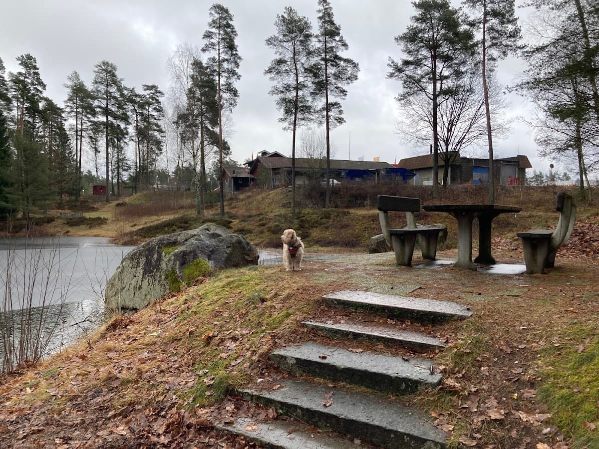 Rastplats Lars Dufva vid väg 296 i Dalarna, omgiven av tät barrskog.