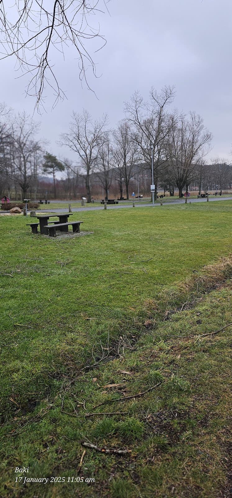 Grönskande rastplats i Ljungskile längs E6 i Bohuslän med parkeringsplatser och faciliteter.