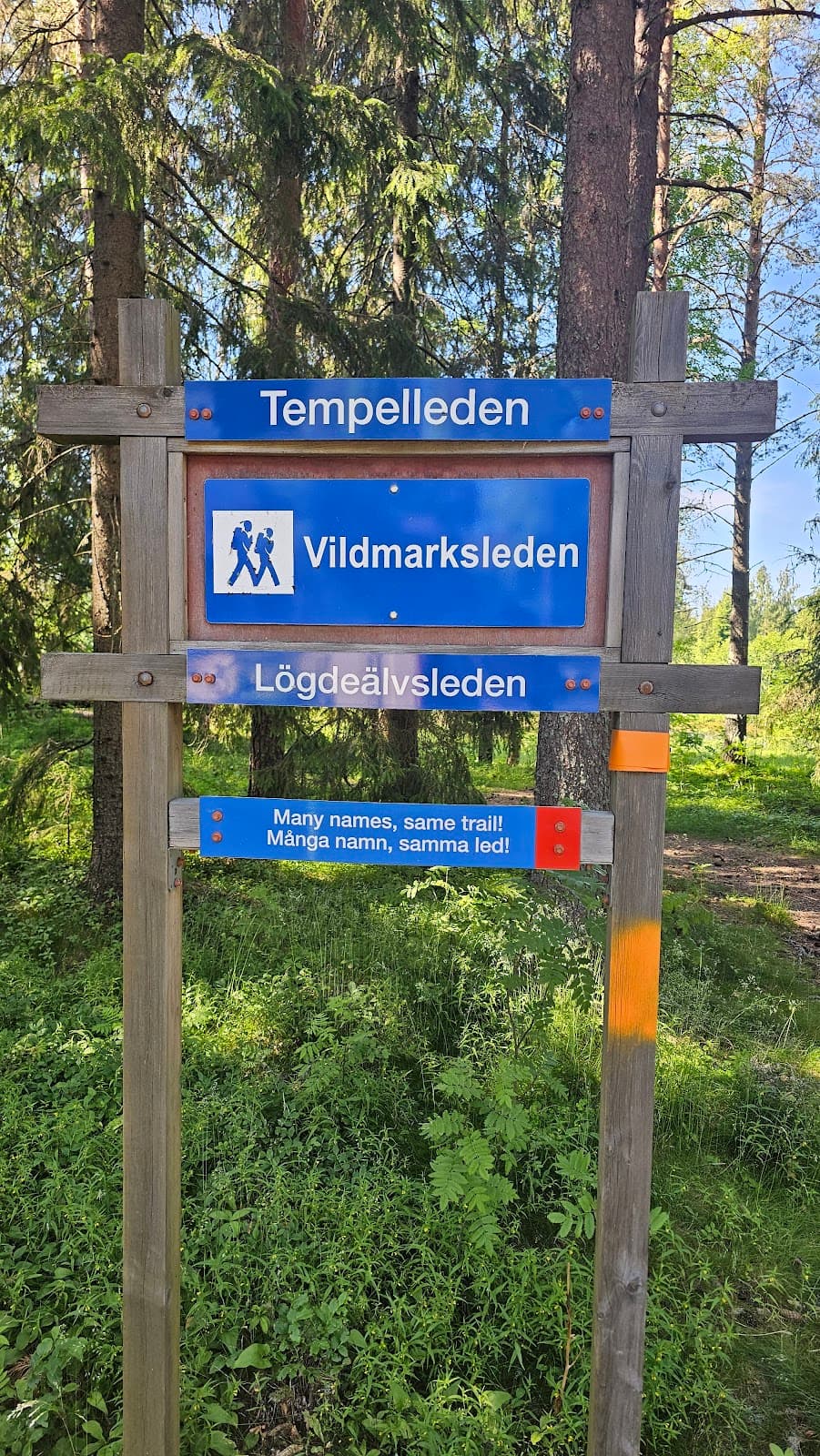 Rastplats Lögdeå vid E4 i Västerbotten med sittplatser omgivna av norrländsk skog.
