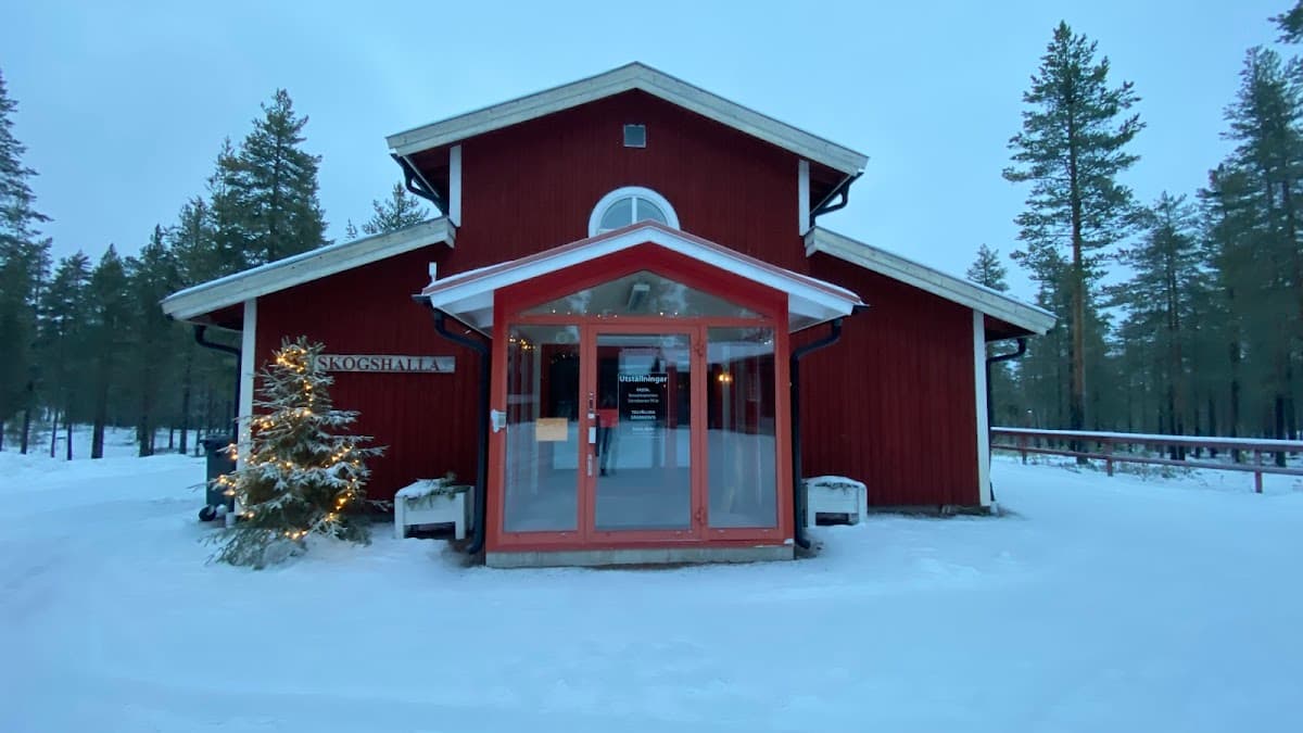 Rastplatsen Lomkällan vid Lomsjön i Dalarna med utsikt över vatten och skog.