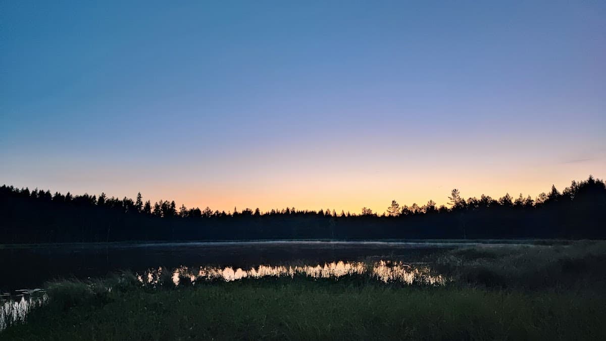 Naturskön rastplats vid Marsjön längs riksväg 68, omgiven av barrskog med sjöutsikt.