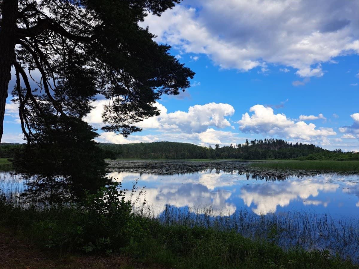 Rastplats Nästången vid E6 i Bohuslän omgiven av kuperad skog.