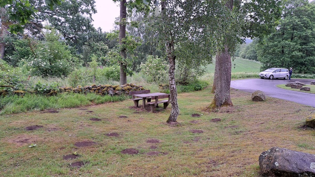 Rastplats Norra Mellby i Skåne, en grönskande oas med träd och sittplatser nära väg 19.