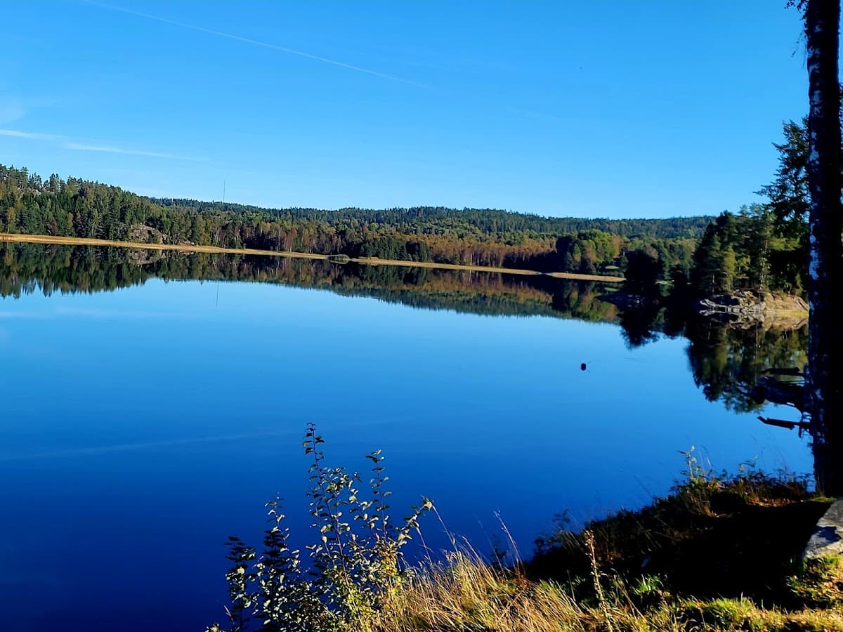 Rastplats Ödskölt i Dalsland, omgiven av skog och natur längs väg 172.