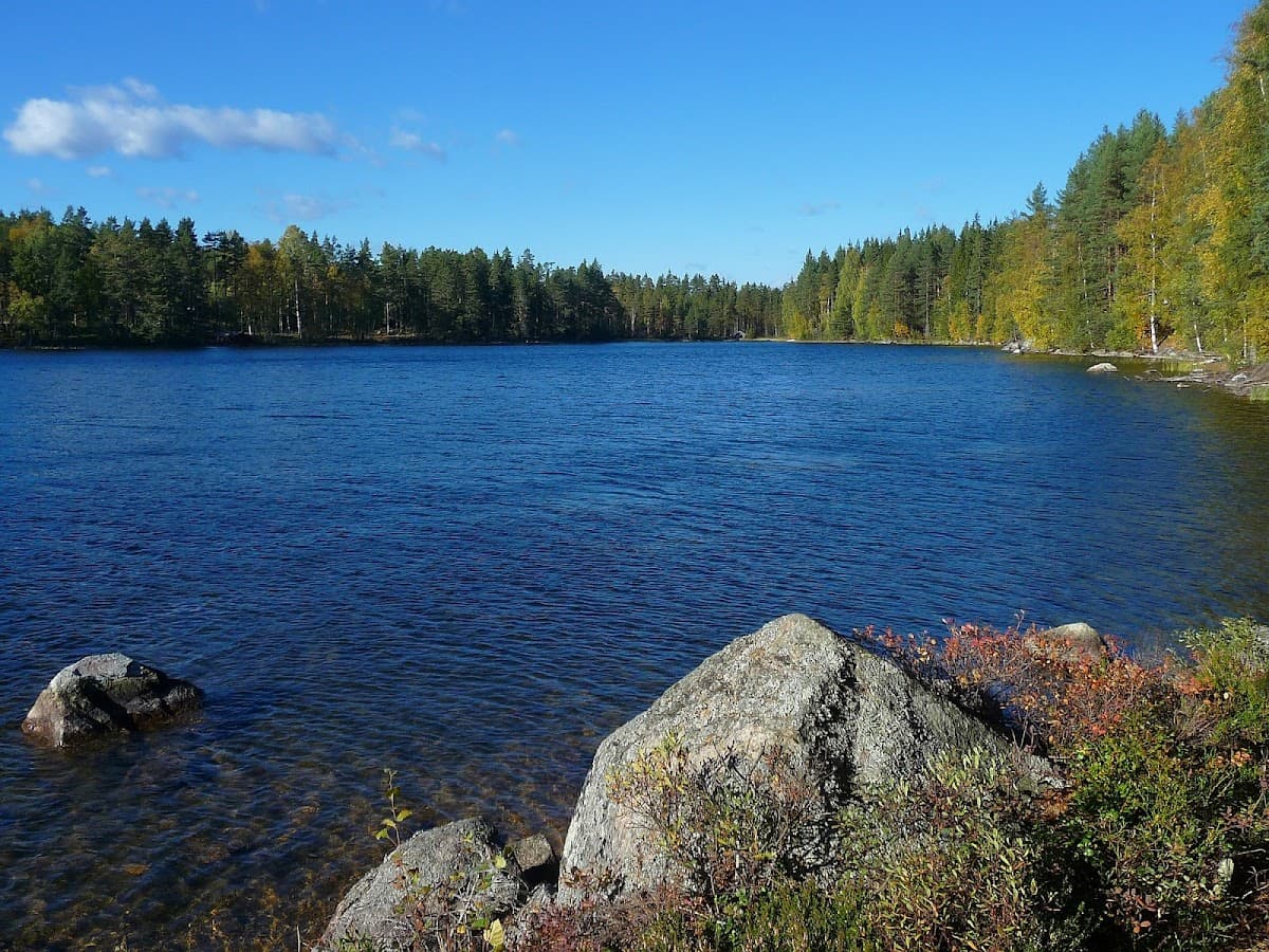Vy över rastplats Rällsjön vid sjön i södra Dalarna, omgiven av skog.