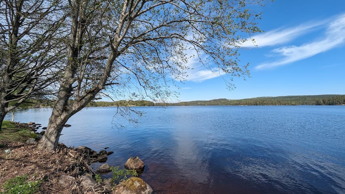 Rastplats Sandslandet vid E4 norr om Kalix med sittplatser omgivna av tallskog.