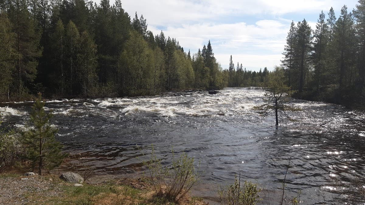 Rastplats Sejaur i Norrbotten med utsikt över Kaitumälven och lappländsk skog längs väg E10.