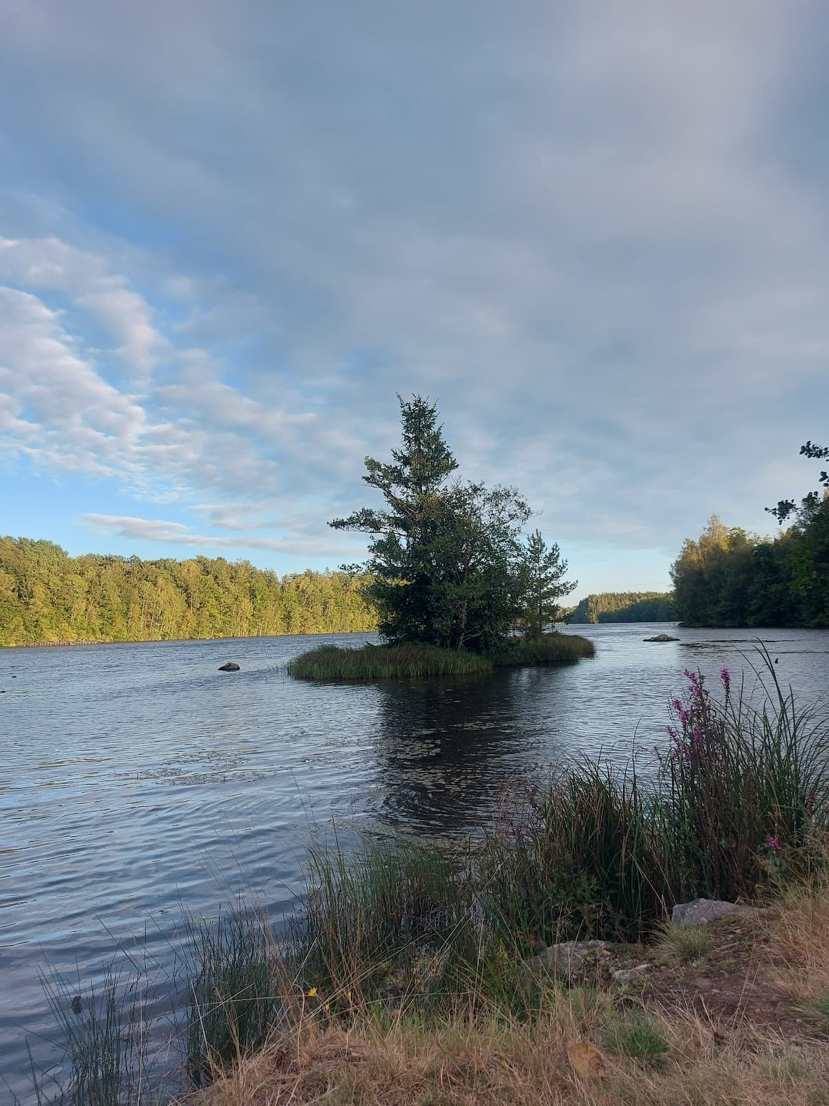Vy över rastplats Sjöboda S vid E22 i Blekinge, omgiven av grönskande skog och natur.