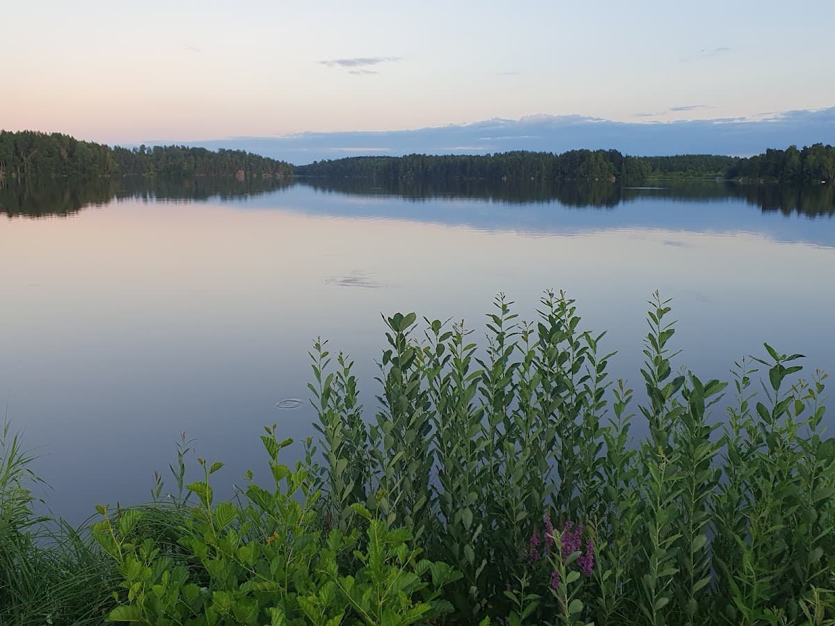 Rastplats Stenhammars skans vid väg 55 nära Flen, omgiven av grönska och sittplatser.