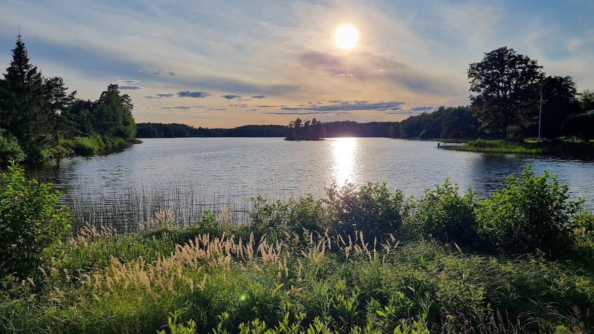 Rastplats Tintomara vid E4 i Hälsingland, omgiven av grönskande barrskog.