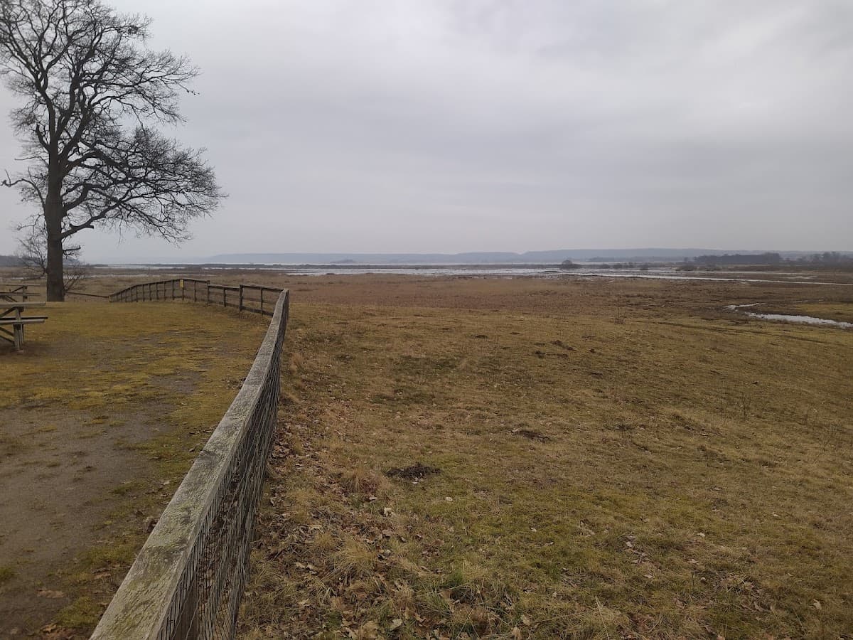 Rastplats Trandansen vid väg 184 nära Hornborgasjön i Västergötland.