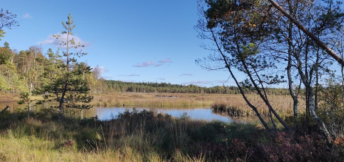Bild från rastplats Vänga Ö