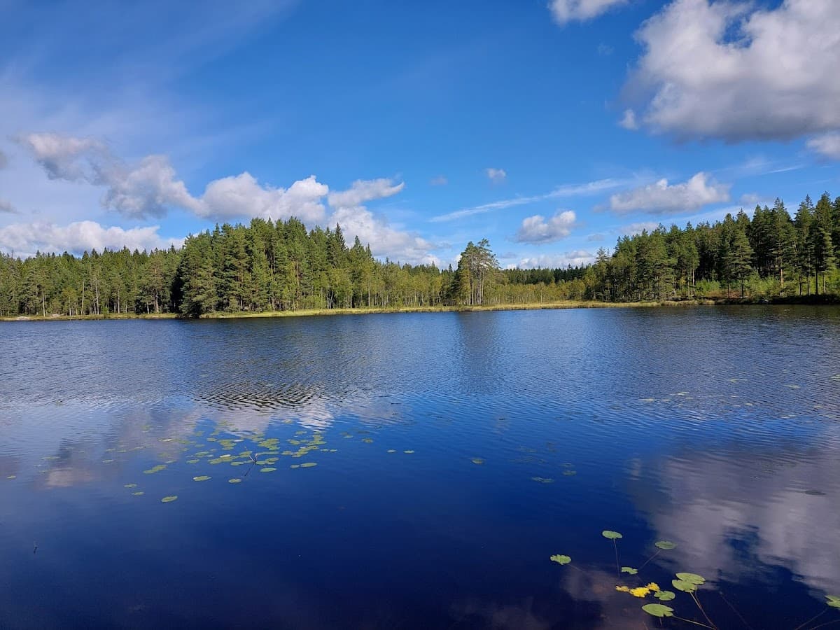 Rastplats Villingen vid E4 i Småland med grönskande skogsnatur och parkeringsytor.