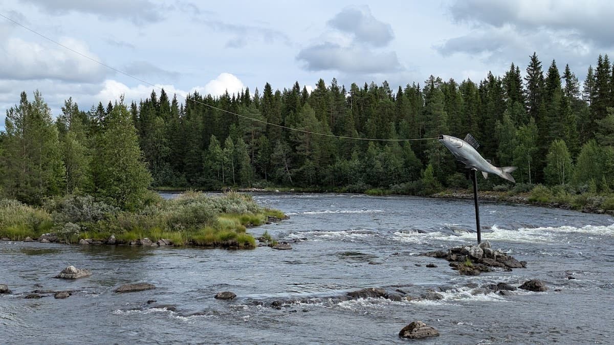 Rastplats Vojmån vid E45 norr om Vilhelmina med utsikt över ån och omgivande skog.